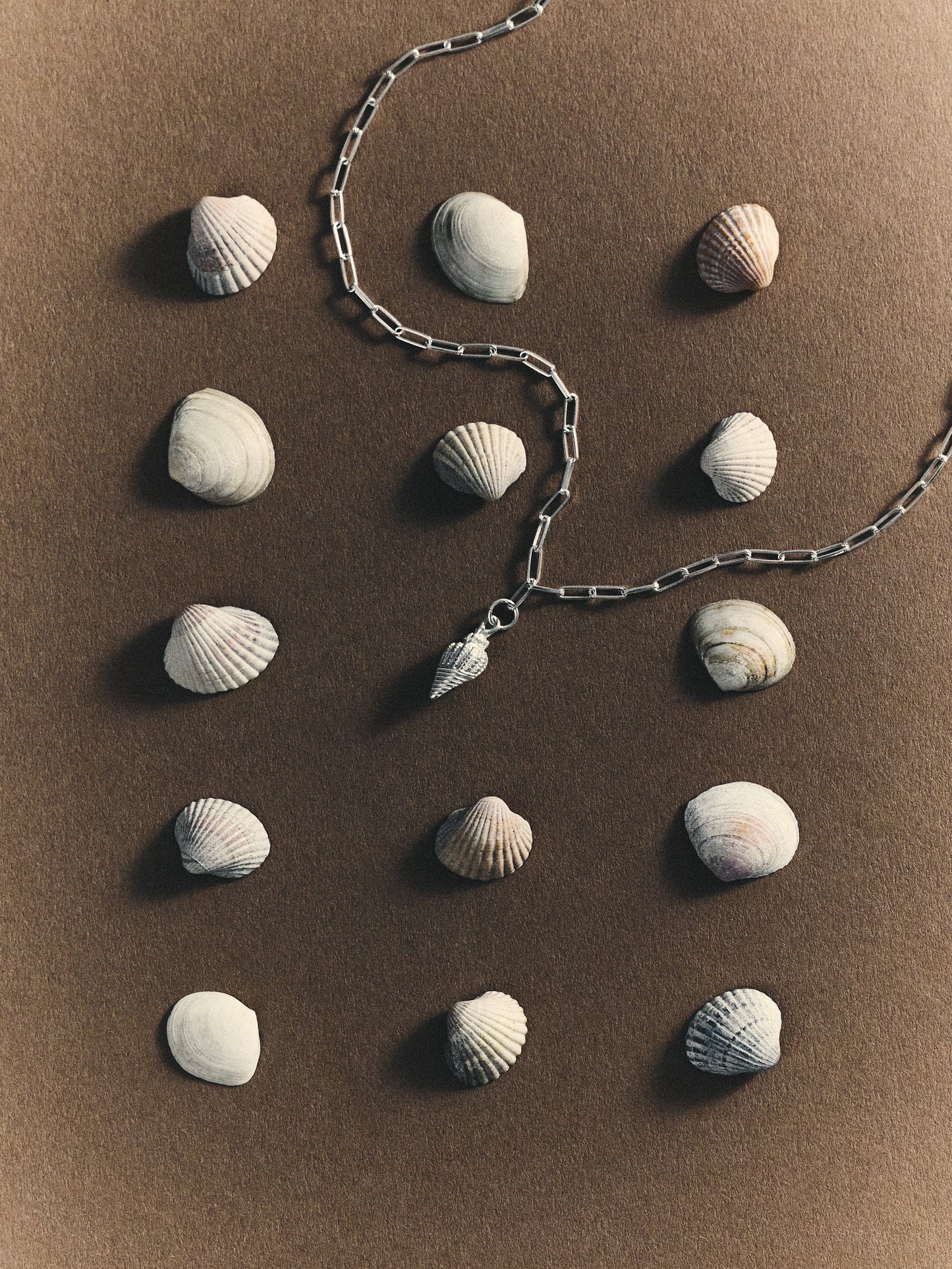Silberne Gliederkette